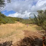 Quintinha Da Chinela *