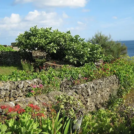 Quintinha Da Chinela *