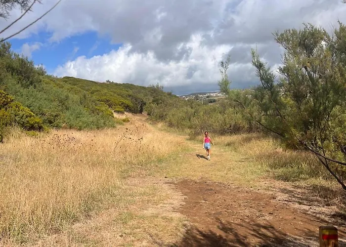 Quintinha Da Chinela *